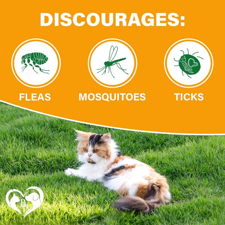 Beloved Pets - Wholesale Pet Treats - Cat - Beloved Pets Flea & Tick Support Chewable Treats with Chicken Flavor for Cats, 10-oz Pack1