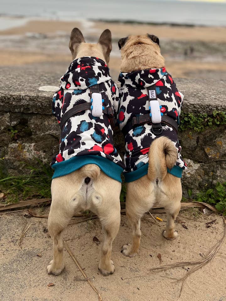 Splash Hoodie for wholesale by Bark Art Ltd