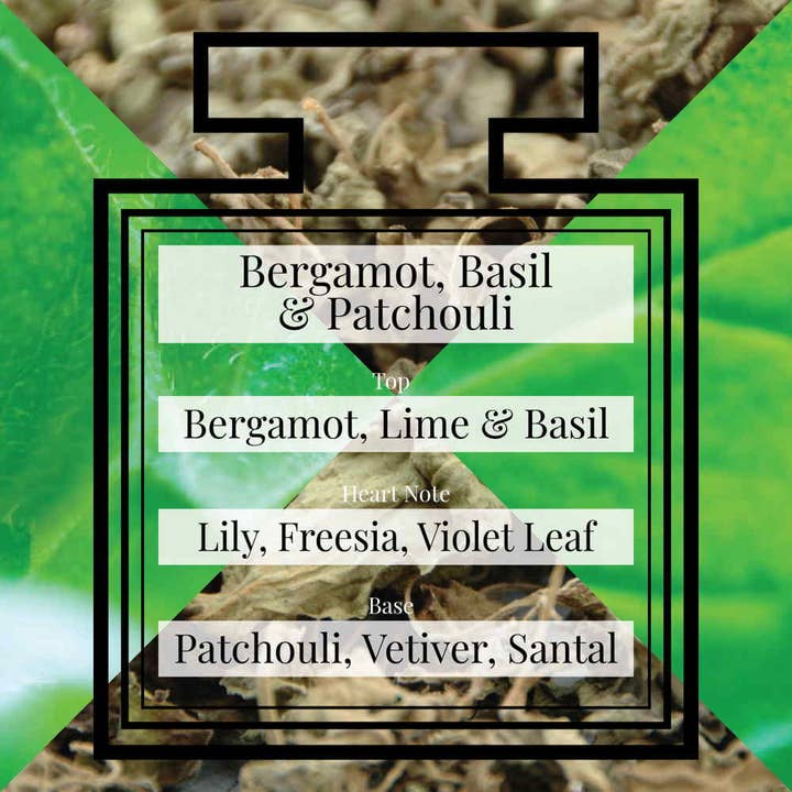 Pairfum London - Wholesale Perfume/Eau de Toilette - Bergamot, Basil & Patchouli - Eau de Parfum
