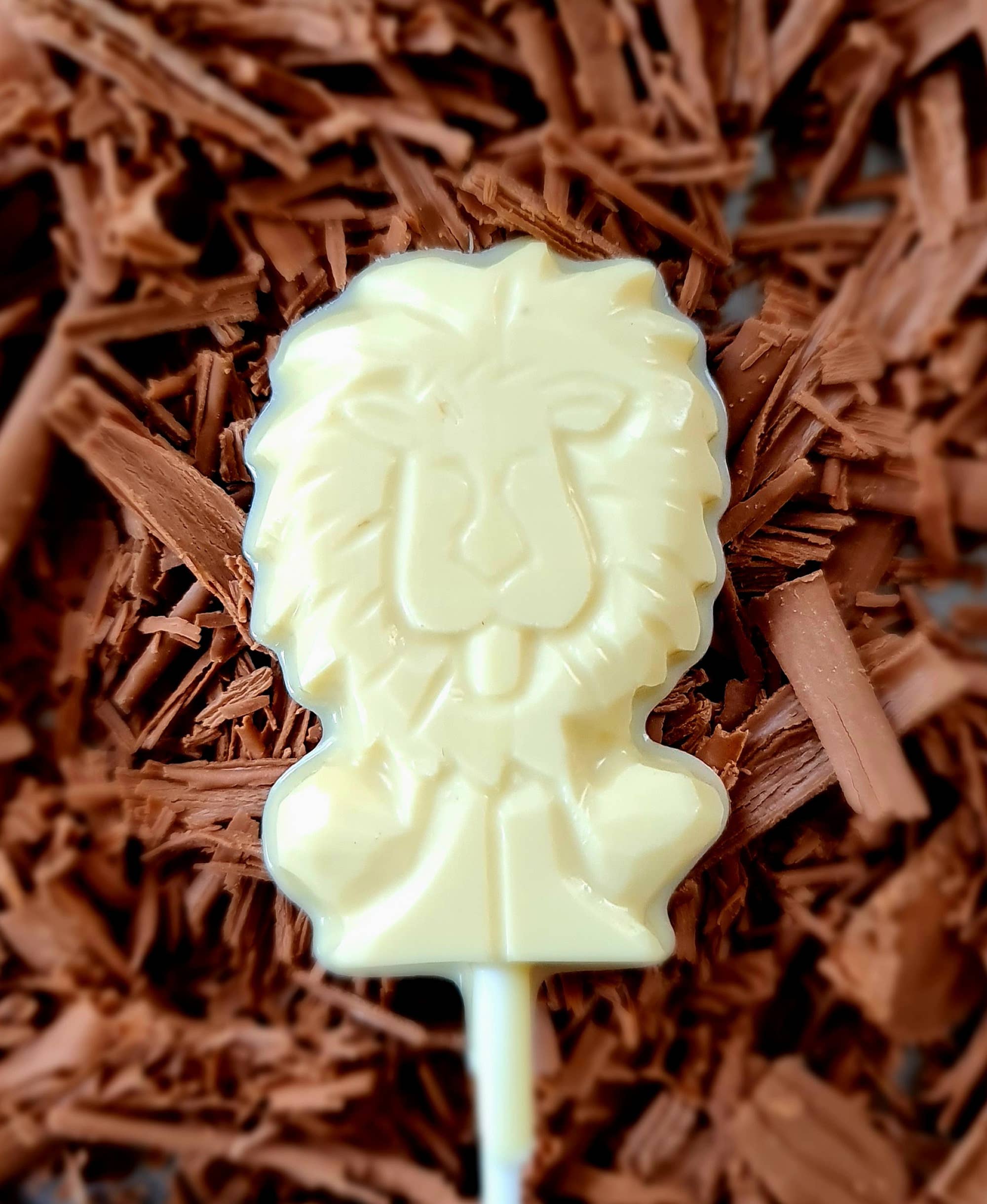 Cwtsh Chocolate - Wholesale Chocolate - Chocolate Lion Lollipop6