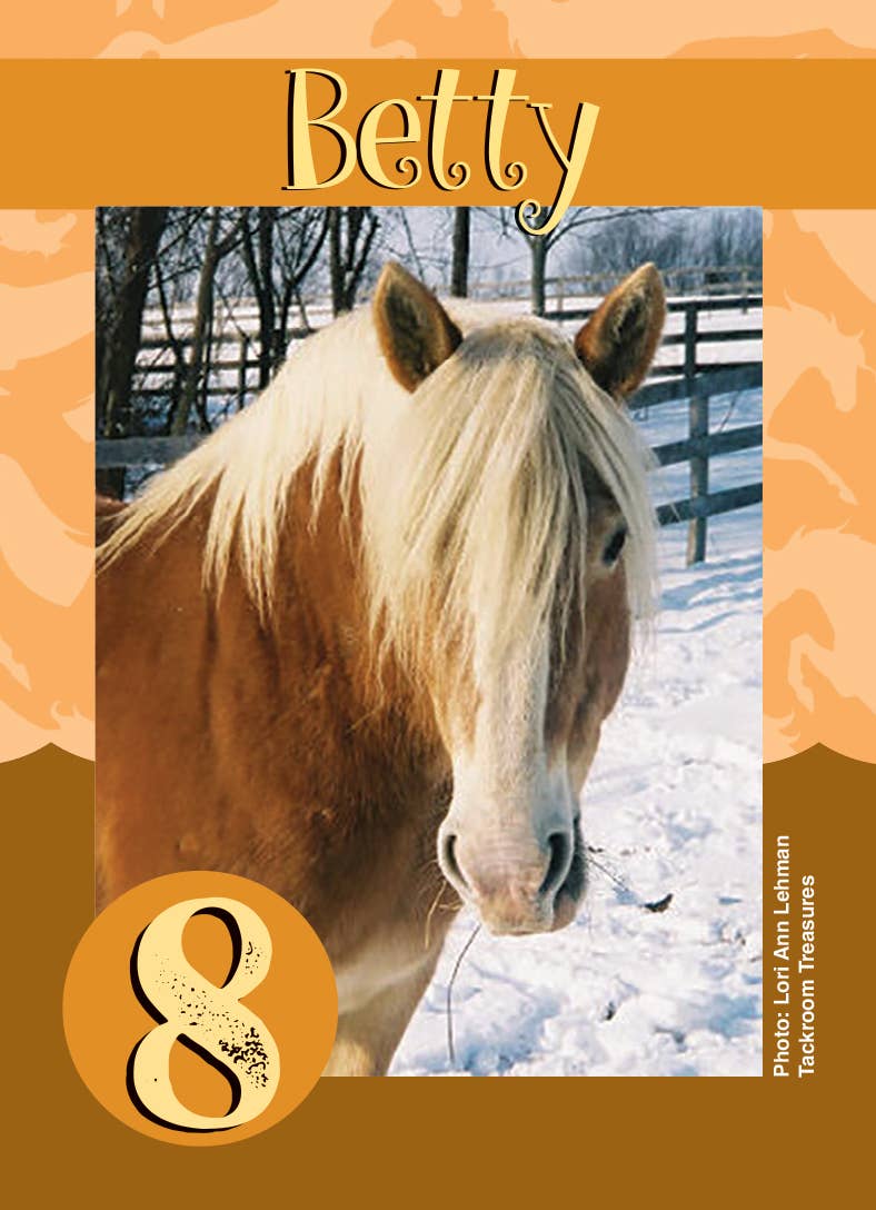Horse Hollow Press | Pretty Snarky Equestrian Cards|Stickers - Wholesale Card Game - Fun Horse Go Graze Card Game for Kids & Families –Gift Ready16
