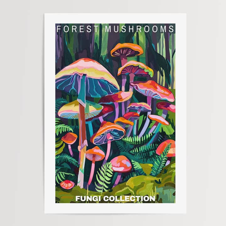Póster Forest Mushroom para venta al por mayor de Enchanted Sights