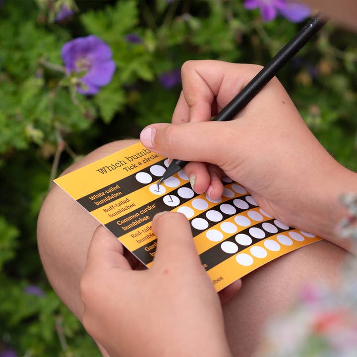 Urbee – Engroshandel Læringskort - Børn og baby – Bee Box - kun tilgængelig i Storbritannien6