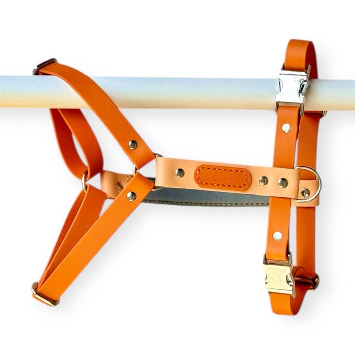 L&Z Dogwear - Wholesale Pet Harness - Dog - Hypoallergenic waterproof harness SIENNA - Biothane®0