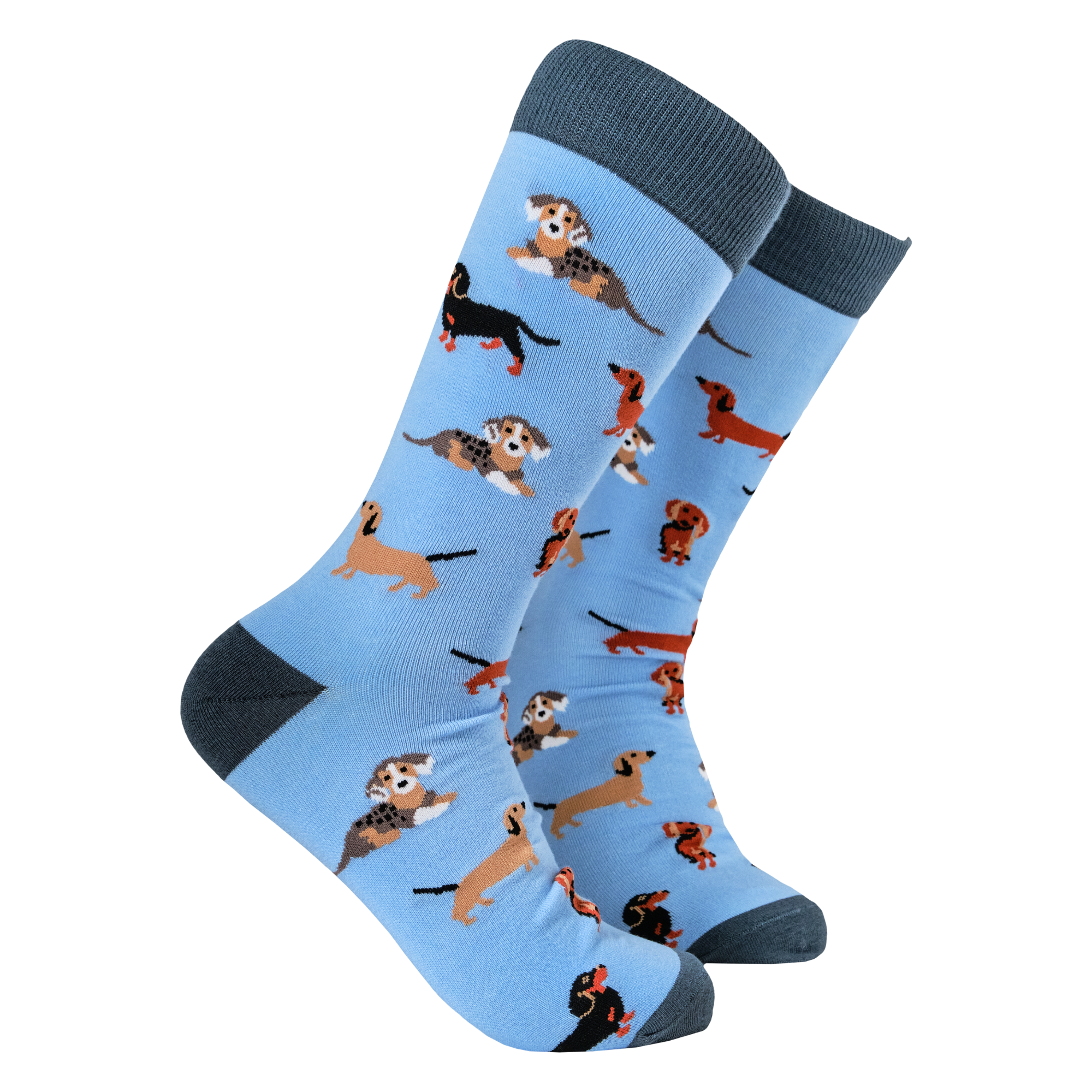Socktopus - Vendita all'ingrosso Calzini - Unisex - Calzini per cani Sausage - Dasching Around 20