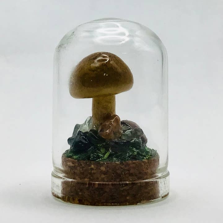 Real Mushroom Curiosity Jar Fungi Oddity Decor 1.25" # 627 for wholesale by Fungus Farm LLC