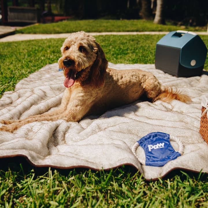 Paw Brands - Wholesale Pet Blanket - Dog - PupProtector™ Short Fur Waterproof Throw Blanket - White with Brown Accents7