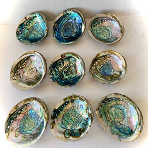 Giant RED Abalone Shell-Abalone Shells and Burners-Smudge-Native American  Art and Images