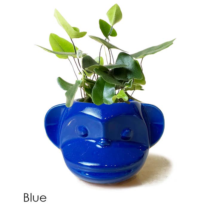 Chive - Wholesale Plant Pot - Funky Monkey Succulent Pot