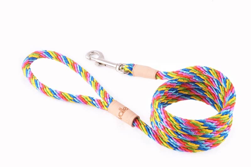 Alvalley – wholesale Pet leash – Dog – Sport Snap Lead41