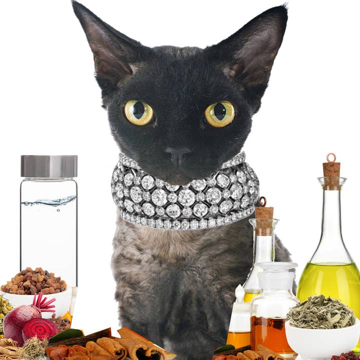 The Blissful Dog – wholesale Pet grooming tool – Cat – The Blissful Cat Drama Queen Shampoo7