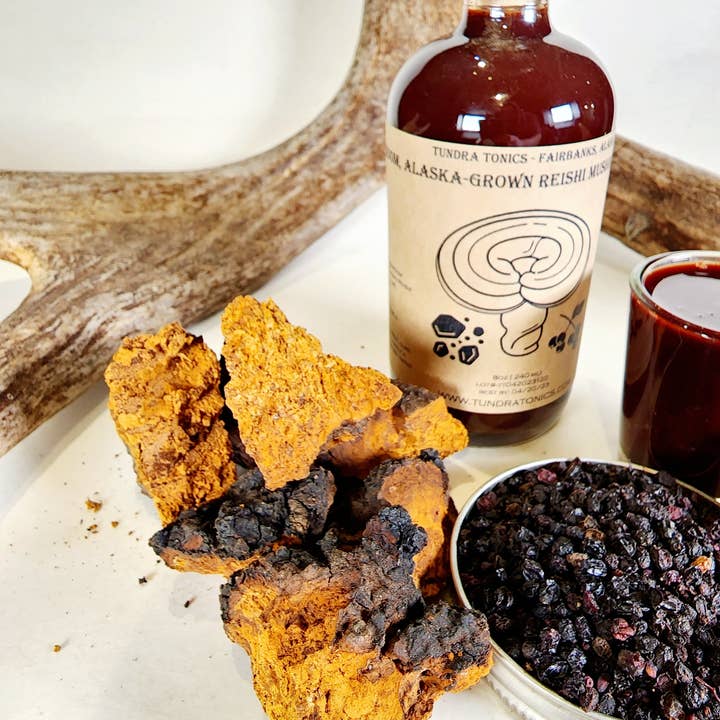 Tundra Tonics - Vendita all'ingrosso Vitamine/integratori orali - Fungo Chaga dell'Alaskan, fungo Reishi e sciroppo di sambuco.