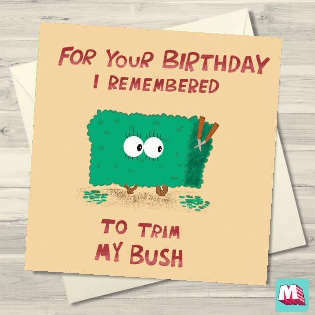 Maktus - Wholesale Birthday Card - Birthday Bush0