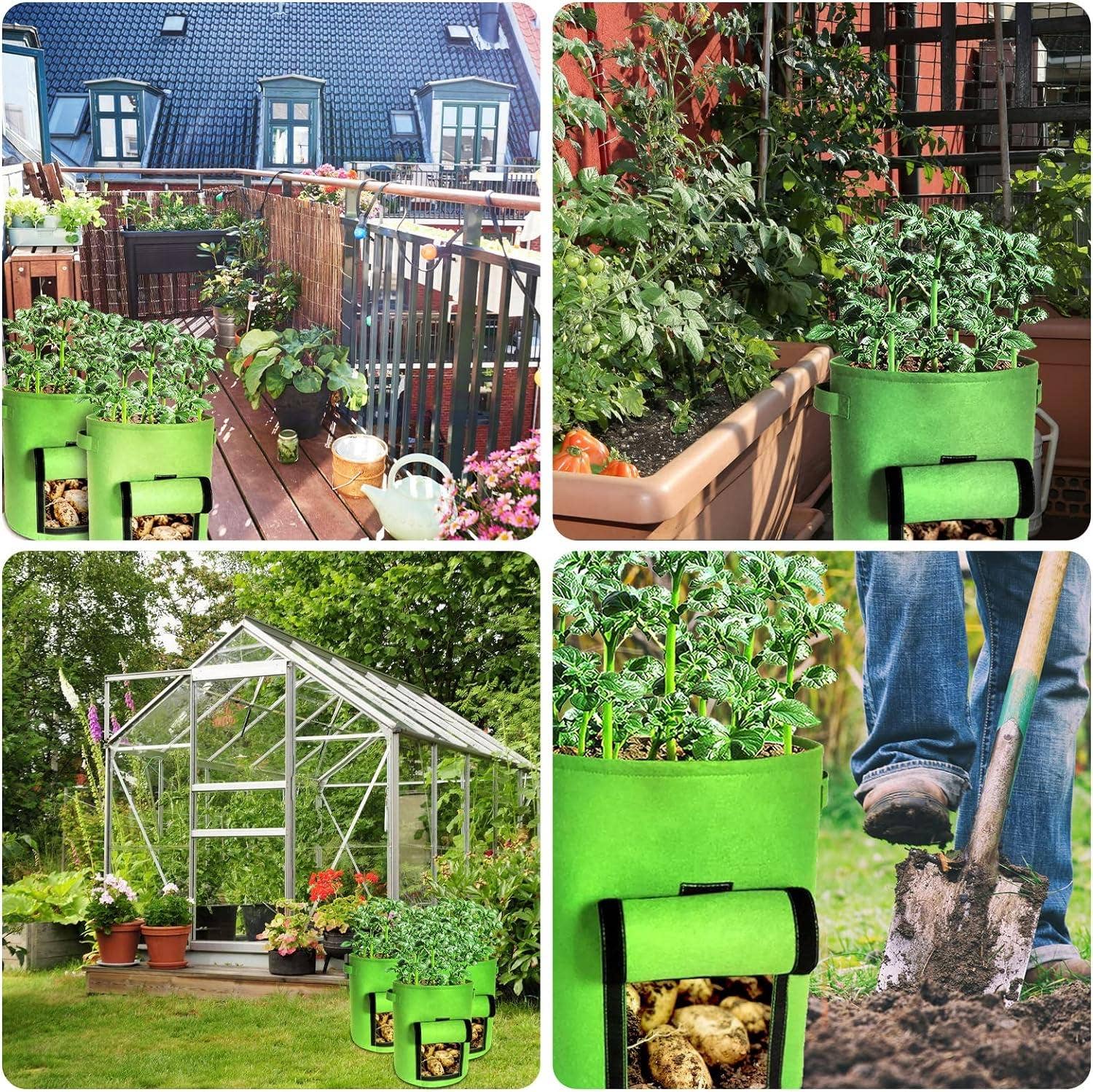 VIGOR - Vendita all'ingrosso Vasi per piante - Contenitori per la coltivazione di patate in feltro a doppio spessore come regalo5