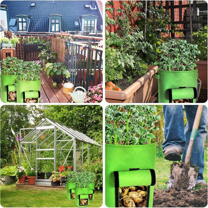 VIGOR - Vendita all'ingrosso Vasi per piante - Contenitori per la coltivazione di patate in feltro a doppio spessore come regalo5