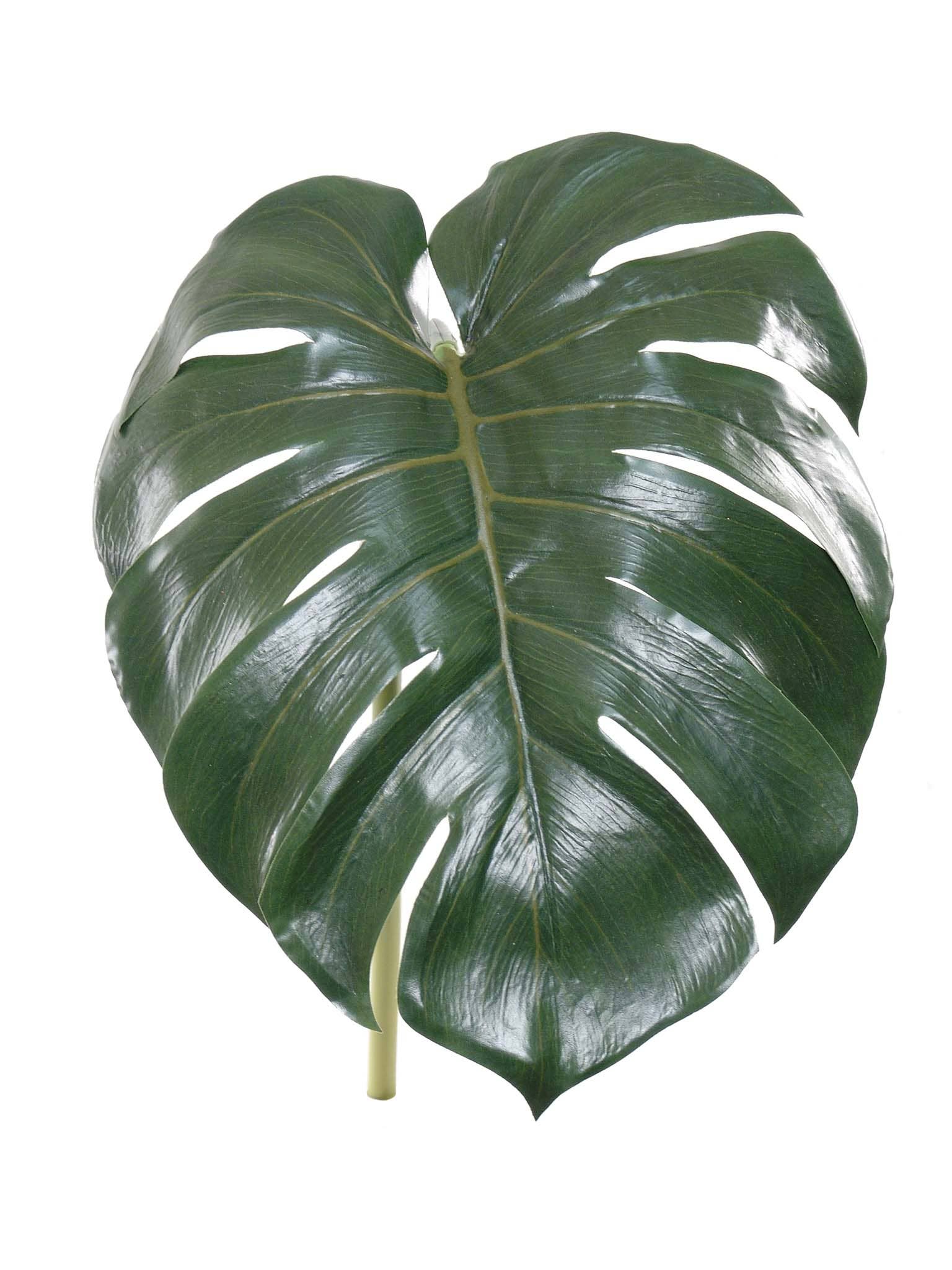 Larksilk - Venta al por mayor Plantas artificiales - Juego de 24 hojas de filodendro divididas de 28 pulgadas - Follaje artificial3