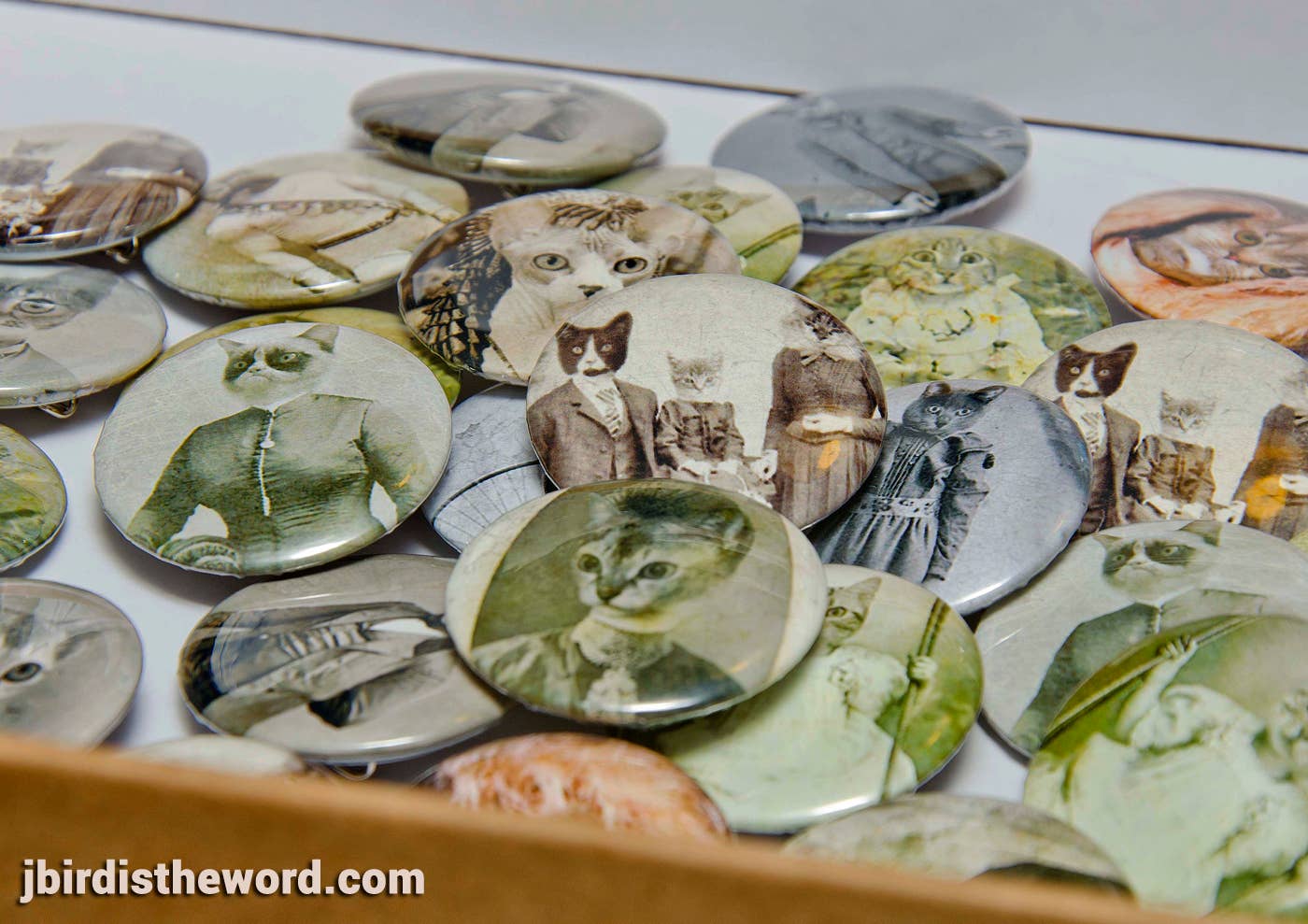 The Wild Oddisorium - Vente Épinglettes/boutons - Boutons de chat, épingles, badges, points de vente, chats drôles dans les vêtements, mignon23