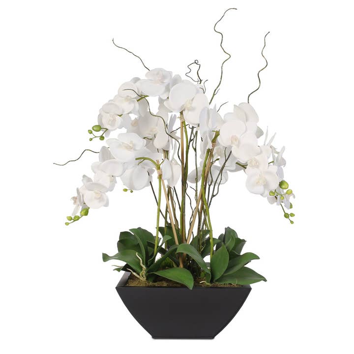 White Phalaenopsis Orchids in a Black Metal Zinc Pot for wholesale by JENNY SILKS