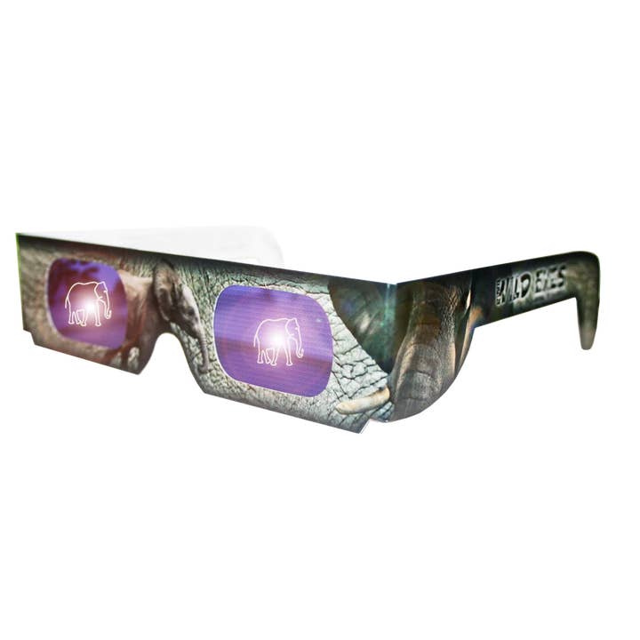 Elephant Wild Eyes Briller - 25 Pakke for engroshandel hos American Paper Optics, LLC