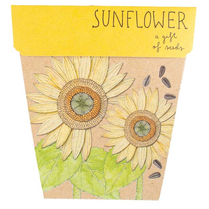 Sow 'n Sow – wholesale Plant seeds – Sunflower Gift of Seeds (Australia Only)