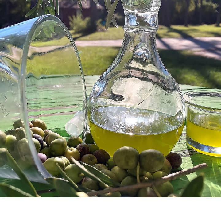 Woodpecker Trail Olive Farm - Wholesale Olive Oil - Extra Virgin Olive Oil - First Press Gold Certified7
