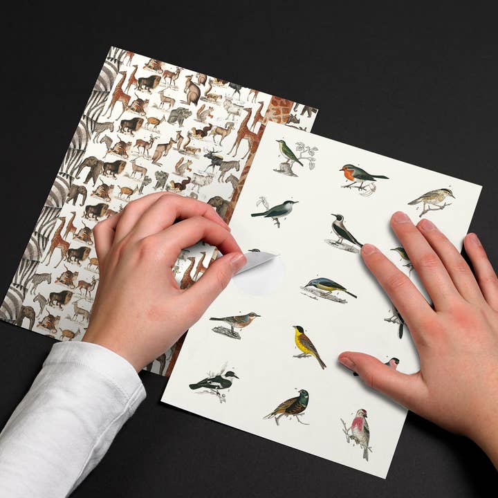 Fauna Label Sticker & Tape Book for wholesale by Pepin Press