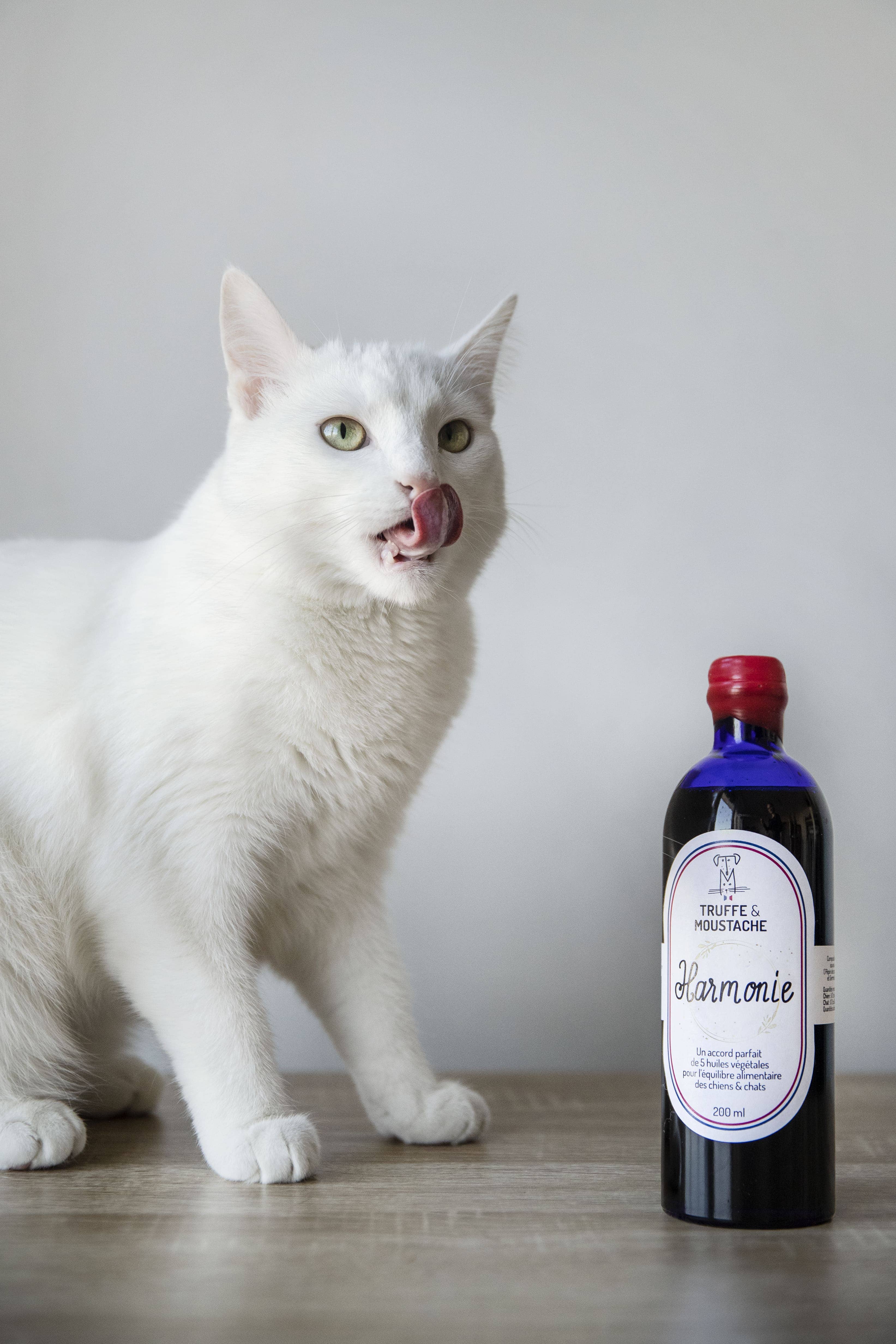 Truffe & Moustache - Wholesale Pet Supplement - Cat/Dog - Vegetable oil for dogs & cats, Omega 3 and 6, “Harmony”9