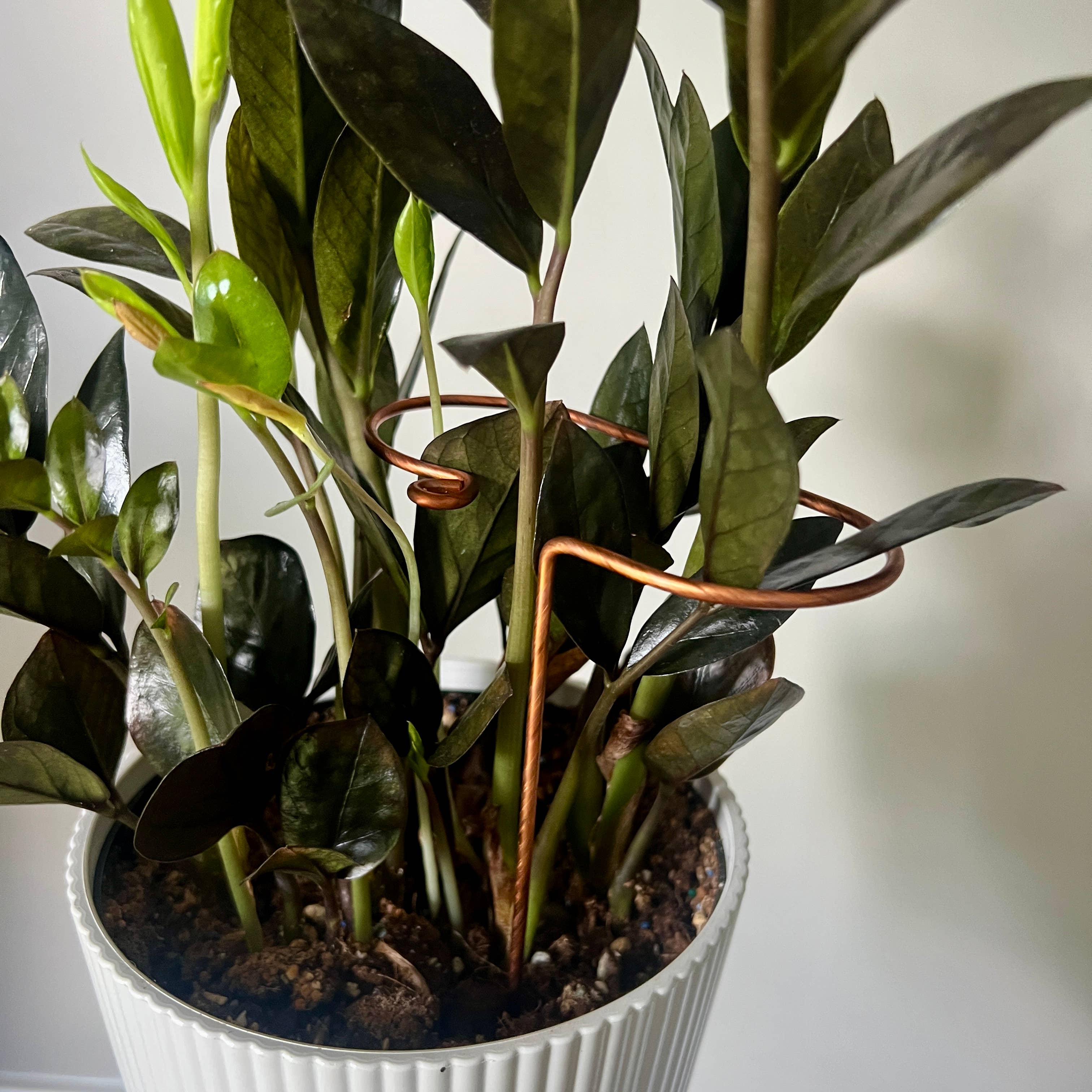 On Ya Garden - Vente Treillis - Bâton de Plante en Cuivre, Support de Tige Inclinée3