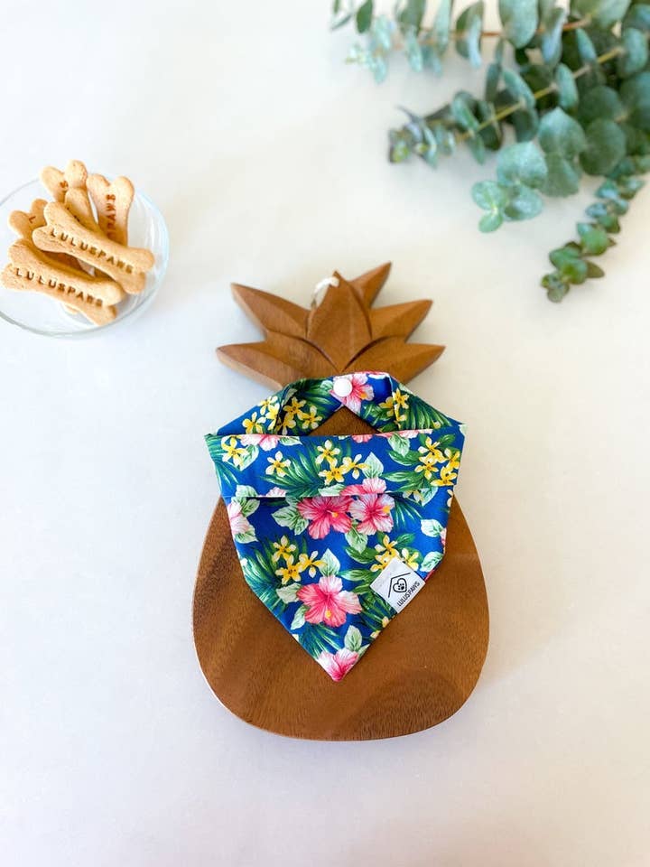 Blå Hawaii for engroshandel hos LULUS PAWS