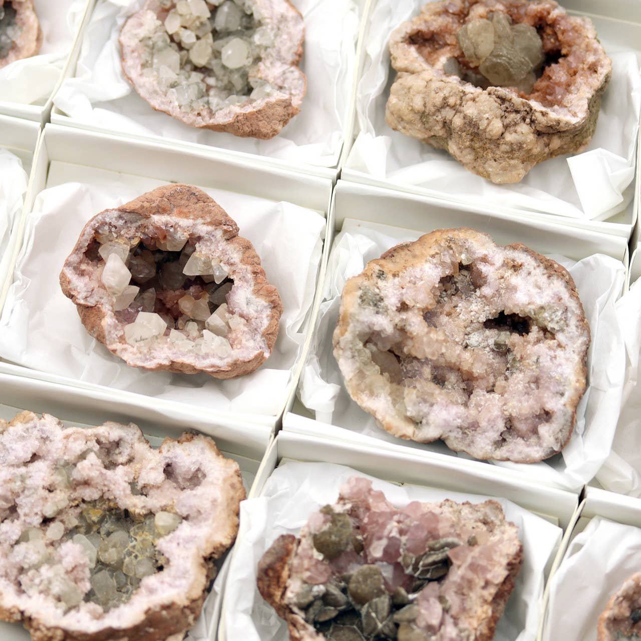 Crystal River Gems LLC - Vente Pierre et cristal de spiritualité - Lot de 12 pièces - Améthystes roses plates avec inclusions de calcite / Grand modèle3