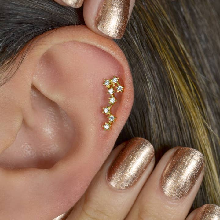 StockJWL - Wholesale Stud/Post Earrings - 12 Zodiac Earrings, Constellation Stud Earring Stud Piercing Tragus Helix Lobe and Cartilage Silver And Gold43