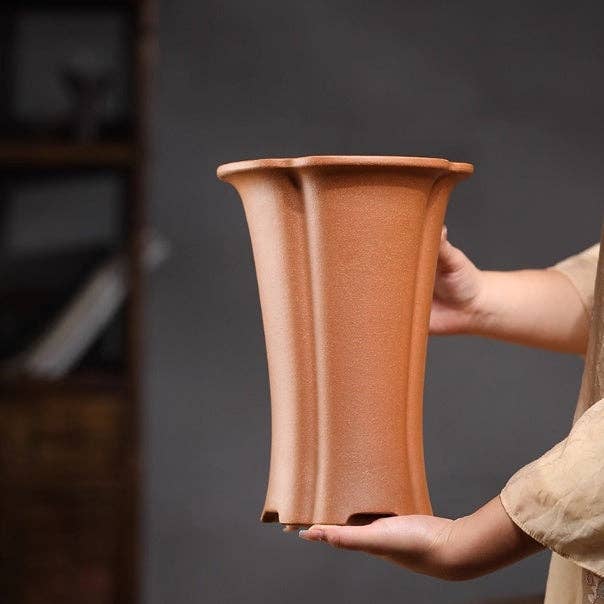 Firewood Purple Sand Orchid Pots Phalaenopsis Clivia for wholesale by Rooted Treasures Farms