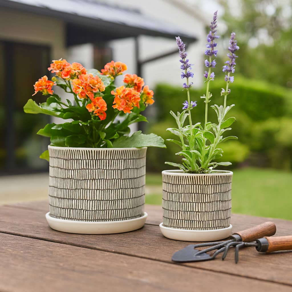 Sagebrook Home - Wholesale Plant Pot - Planters Set of 2 - Ivory Ceramic Line with Saucer, 6/8 in.1
