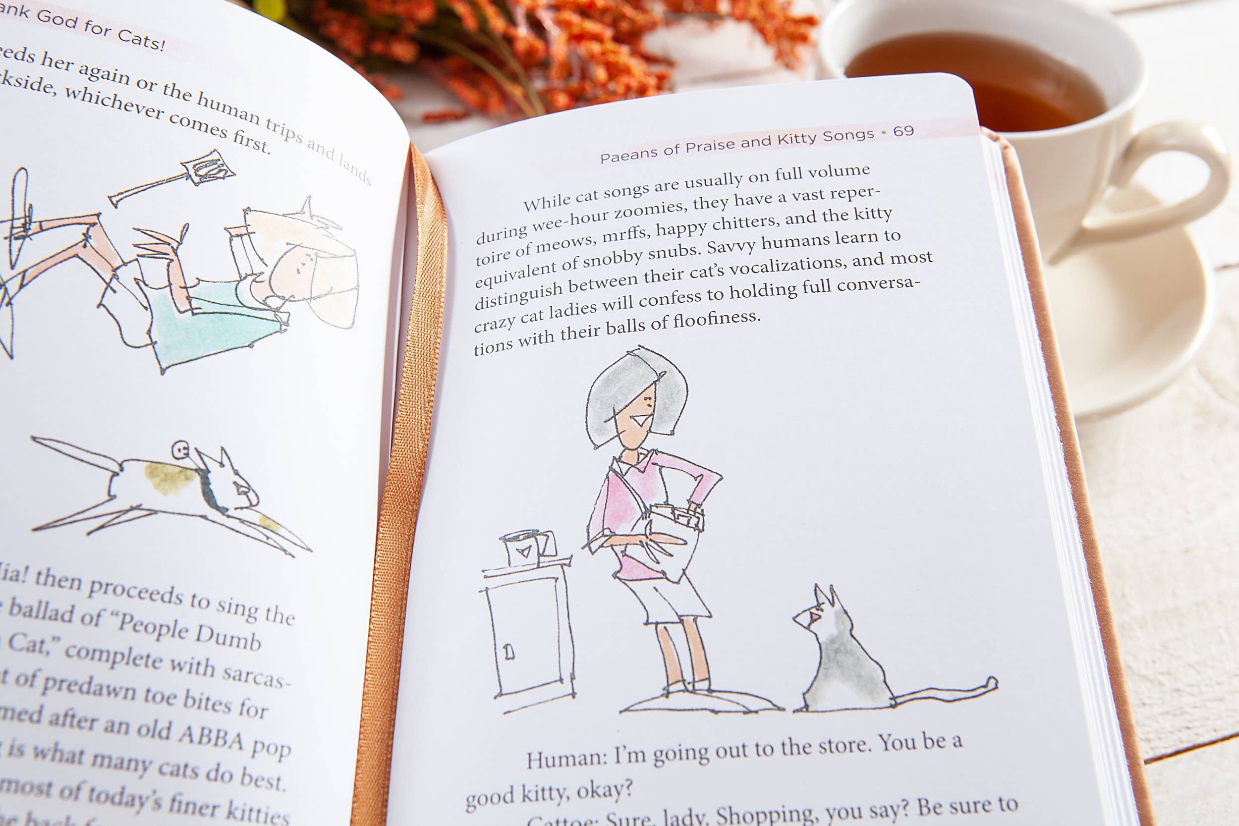 BroadStreet Publishing Group, LLC - Wholesale Boek over huisdieren - Dank God voor katten! (Devotioneel, Valentijnsdagcadeaus)3