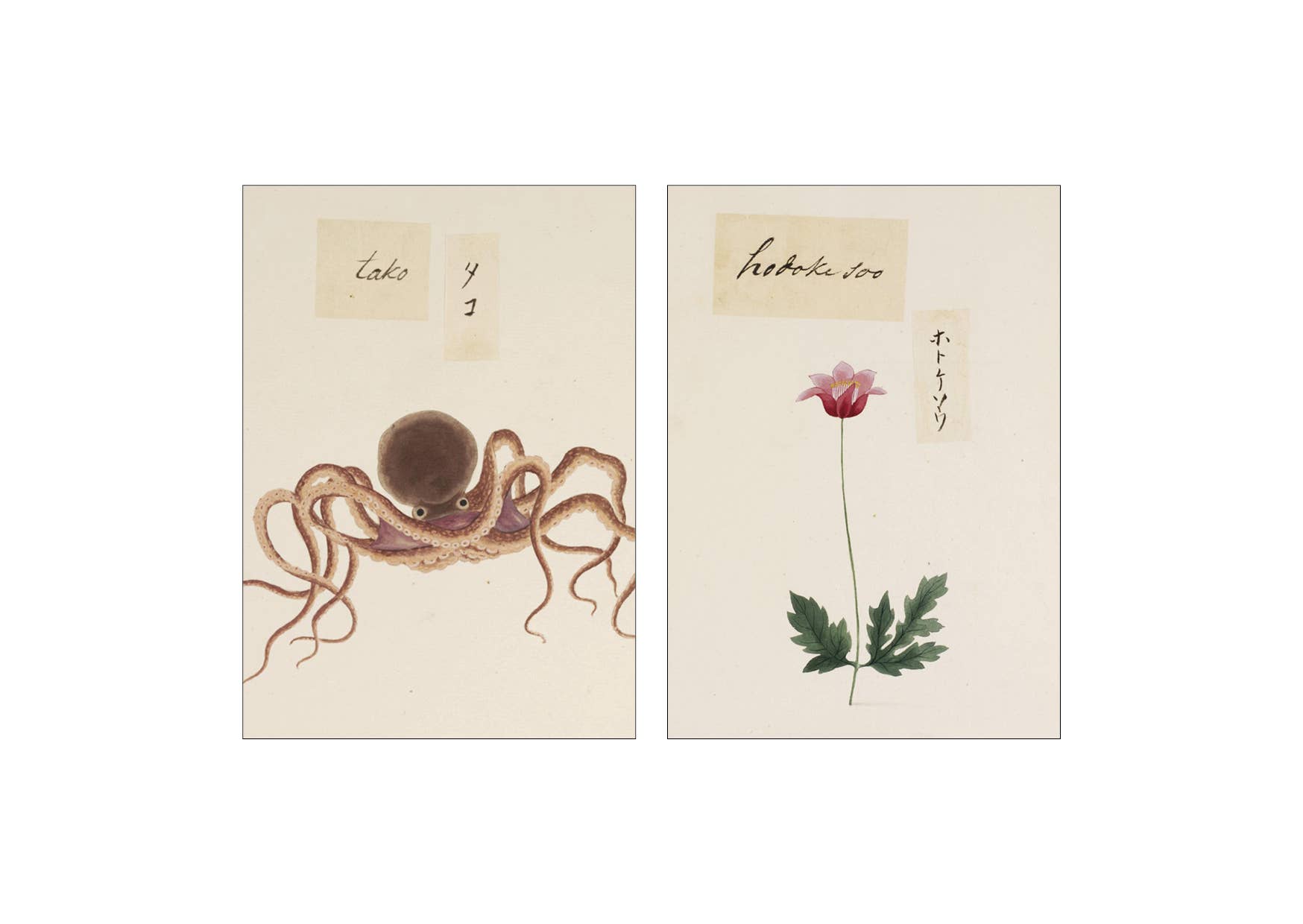 Lylies - Wholesale Wall Tile - Wall tile collage from the Naturalis collection - Sticky fingers2