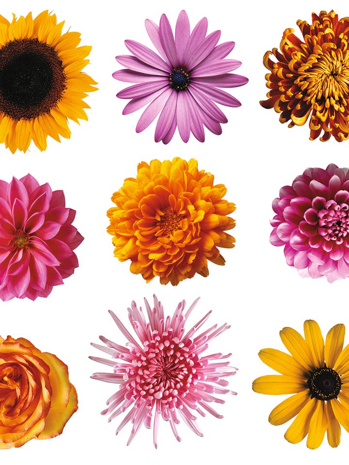 Wall Sticker Beach for wholesale by The Design Department b.v.