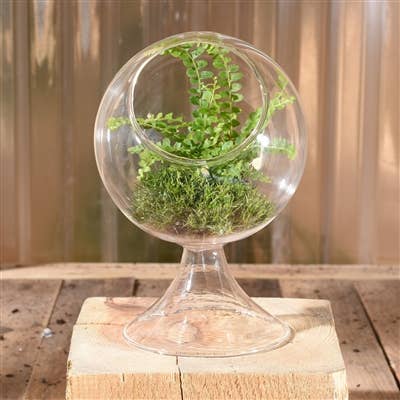 HomArt - Wholesale Terrarium - Sole Terrarium, Glass - Round, Sm3