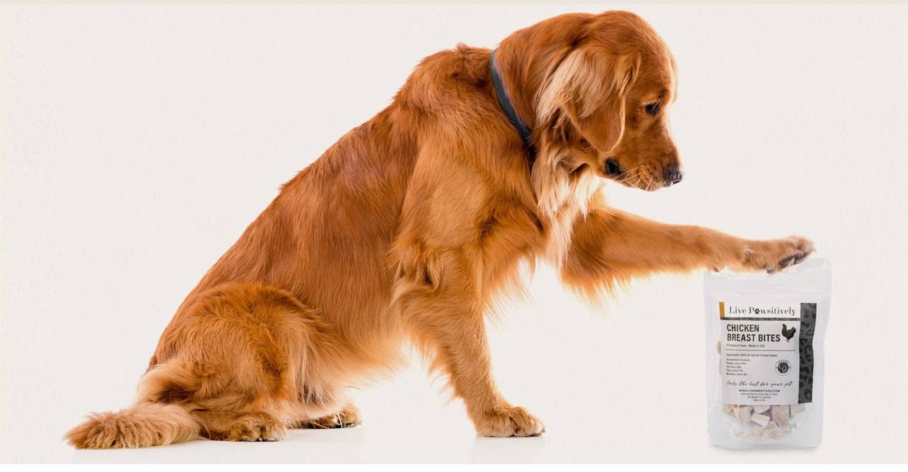 Live Pawsitive - Wholesale Pet treats – Dog - Chicken Breast Bite4