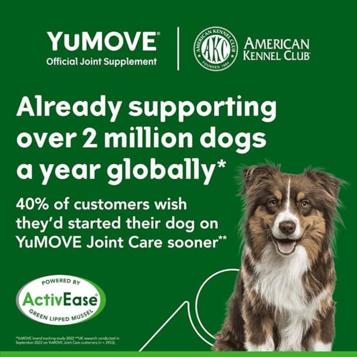 Pet Vital Care – wholesale Pet supplement – Dog – Lintbells | YuMOVE Adult Dog | Hip and Joint 300 tablets