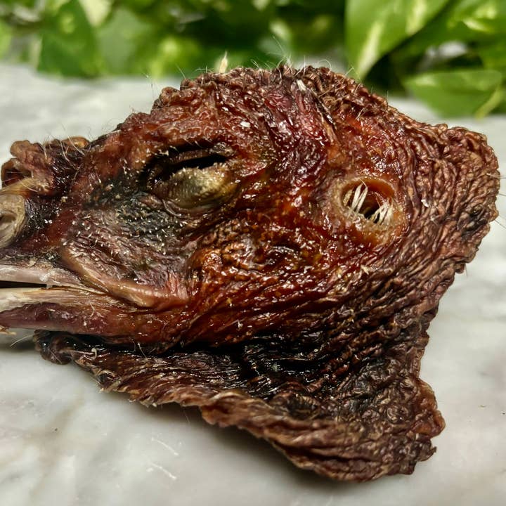 Tyrkiets hoved for engroshandel hos Rocky&Stella’s Treats