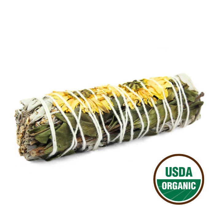 Sunflower Sage 10cm for wholesale by Green Tree