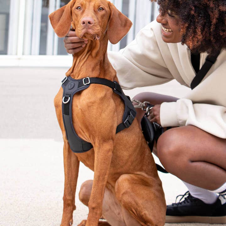 Qisu - Wholesale Pet Harness - Dog - Hug Harness - Premium3