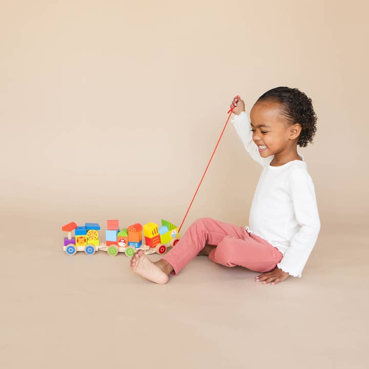 Spirit 'N Sprout - Wholesale Wood Toy - Kids - Farm Wooden Train Set for Kids - Pull Along Stacking Train17