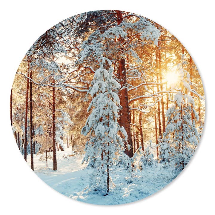 Círculo de pared Winter Forest para venta al por mayor de GM decoratie