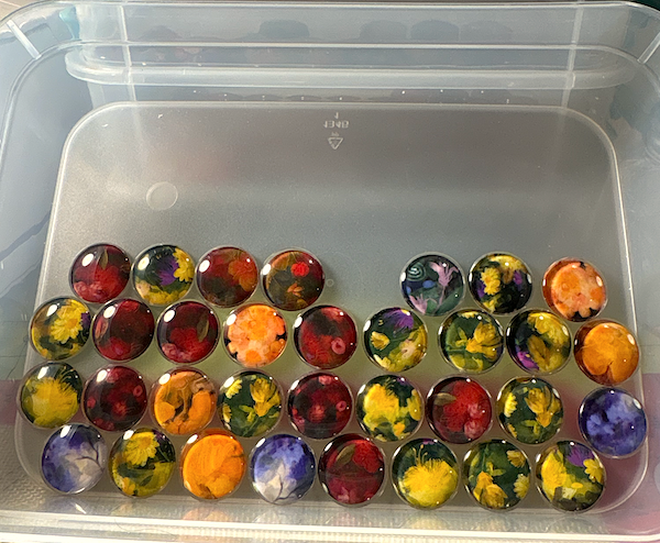 Anna DiVito Studio - Wholesale Magnet - BOTANICAL MULTI COLORED MAGNET SET | GLASS | HANDCRAFTED2