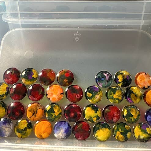 Anna DiVito Studio - Wholesale Magnet - BOTANICAL MULTI COLORED MAGNET SET | GLASS | HANDCRAFTED2