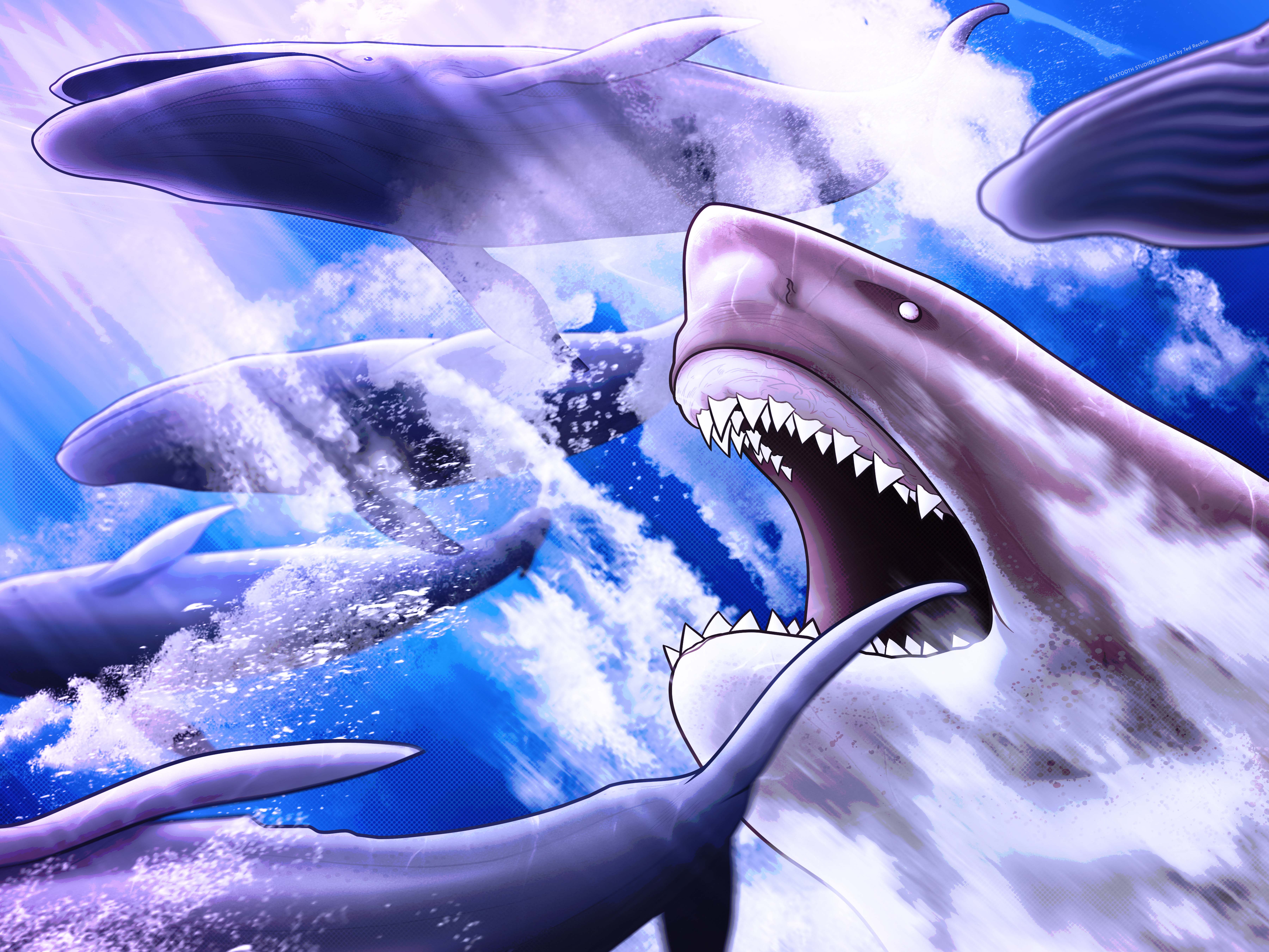 Rextooth Studios - Wholesale Puzzle - Adult - Shark/Megalodon Puzzle0