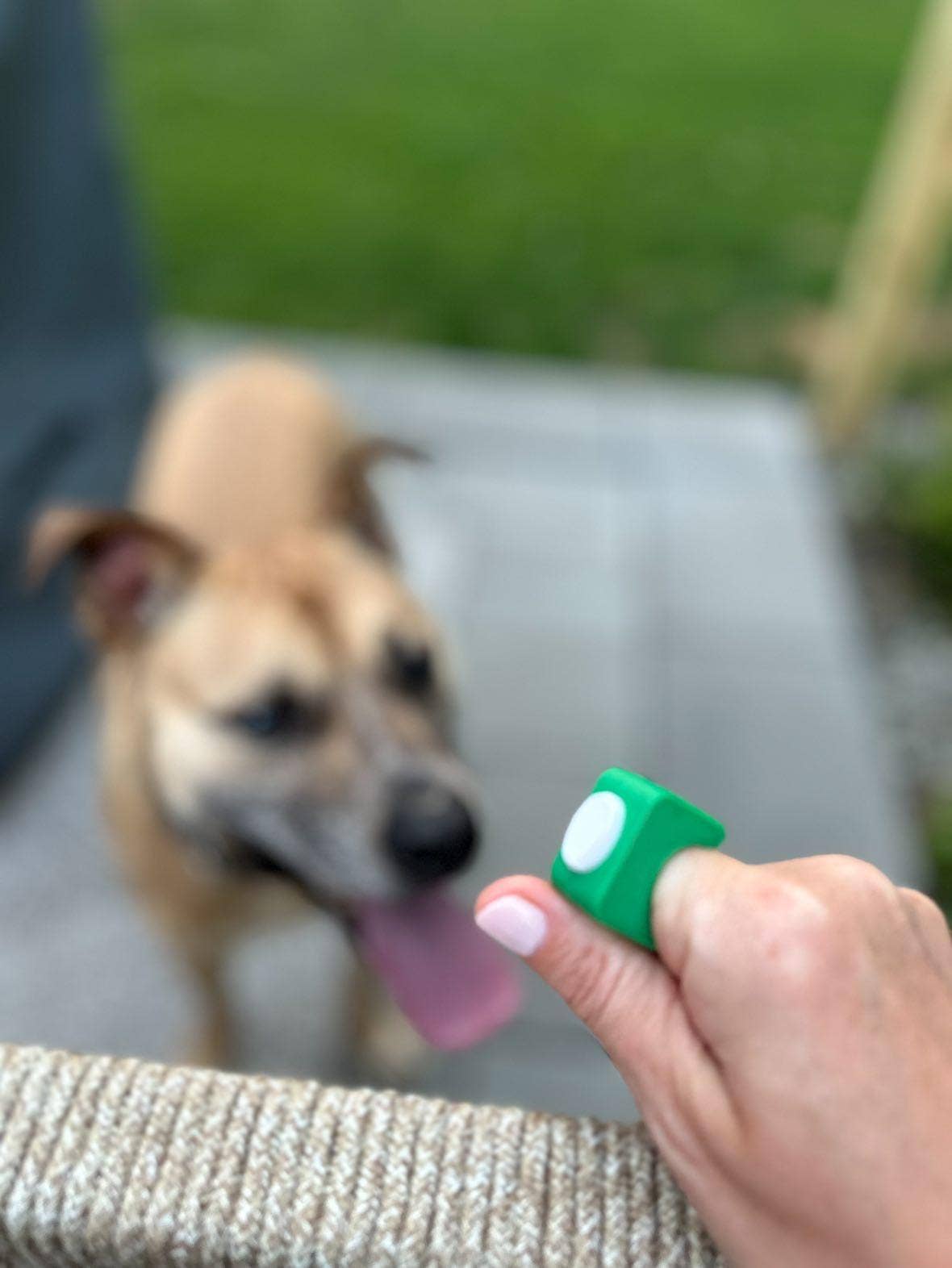 Clicker King - Wholesale Pet Training Whistle - Dog - Premium Pet Training Clicker Ring - Flex Clicker™14