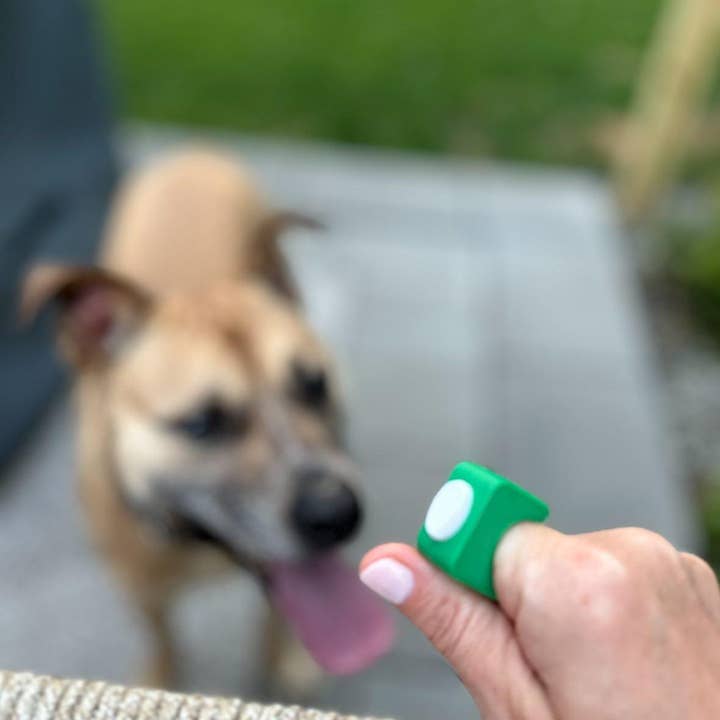 Premium Pet Training Clicker Ring - Flex Clicker™ and other Purchase Wholesale dog clickers. Free Returns & Net 60 Terms on Faire trending on Faire.