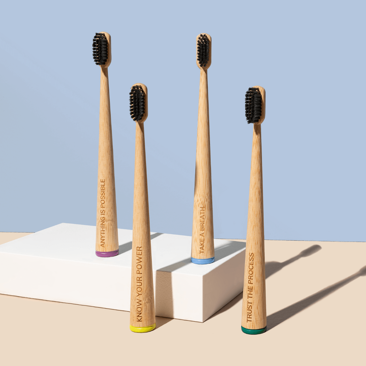 MABLE – wholesale Tandborste – Daglig bekräftelse tandborste fyrpack - Vuxen mjuk4